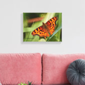 Toile Beautiful Orange Satyr Comma Butterfly (Insitu(Salon))