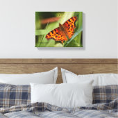 Toile Beautiful Orange Satyr Comma Butterfly (Insitu(Chambre))