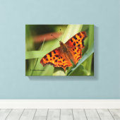 Toile Beautiful Orange Satyr Comma Butterfly (Insitu (Plancher de Bois))