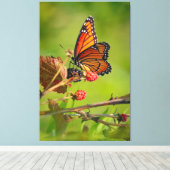 Toile Beauty  (Insitu (Plancher de Bois))