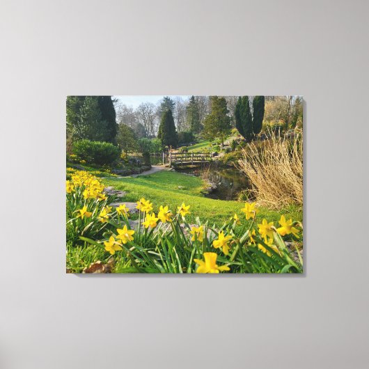 Toile Beaux jonquilles de printemps (Recto)