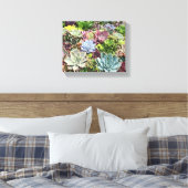 Toile Beaux succulents (Insitu(Chambre))