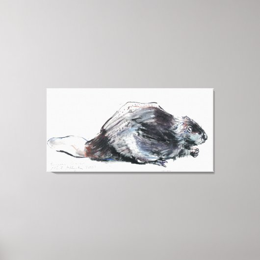 Toile Beaver européen (Recto)