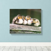 Toile Bébé Canards (Insitu (Plancher de Bois))