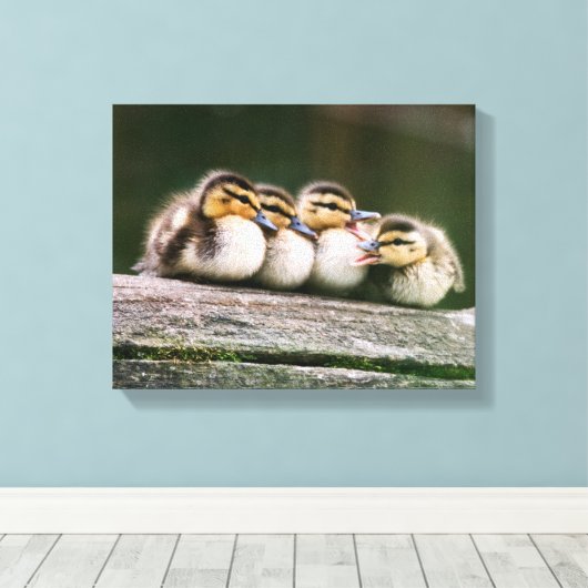 Toile Bébé Canards (Insitu (Plancher de Bois))