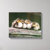 Toile Bébé Canards (Recto)