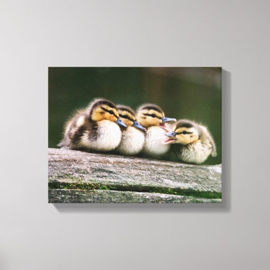 Toile Bébé Canards (Recto)