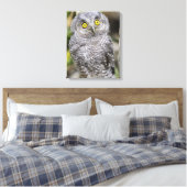 Toile Bébé - Chouette (Insitu(Chambre))