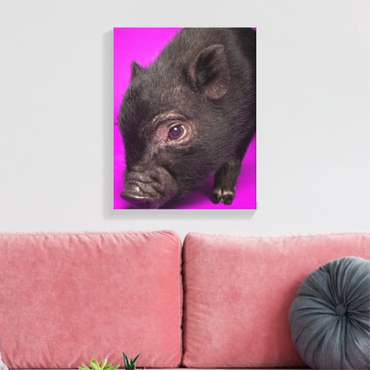 Toile Bébé Cochon noir (Insitu(Salon))