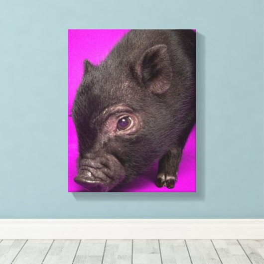 Toile Bébé Cochon noir (Insitu (Plancher de Bois))
