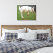 Toile Bébé de chèvre drôle Chèvre blanche Sauter dans le (Insitu(Chambre))