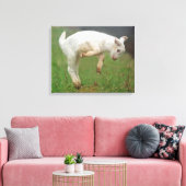Toile Bébé de chèvre drôle Chèvre blanche Sauter dans le (Insitu(Salon))