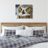Toile Bébé grand hibou à cornes (Insitu(Chambre))