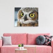 Toile Bébé grand hibou à cornes (Insitu(Salon))