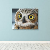 Toile Bébé grand hibou à cornes (Insitu (Plancher de Bois))