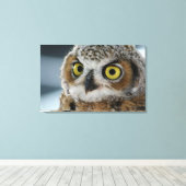 Toile Bébé grand hibou à cornes (Insitu (Plancher de Bois))