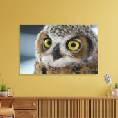 Toile Bébé grand hibou à cornes (Insitu(Salon))