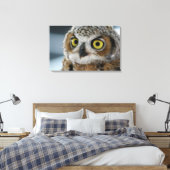 Toile Bébé grand hibou à cornes (Insitu(Chambre))