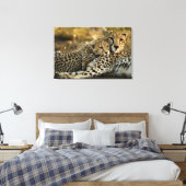 Toile Bébé guépard câlinant sa mère (Insitu(Chambre))