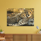 Toile Bébé guépard câlinant sa mère (Insitu(Salon))