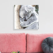 Toile bébé koala (Insitu(Salon))