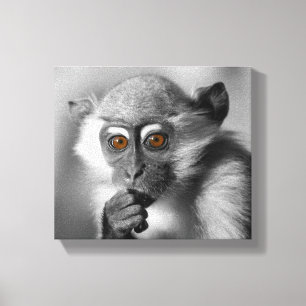 Toile Bébé Mangabey