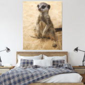 Toile Bébé Meerkat Assis Dans Le Sable (Insitu(Chambre))