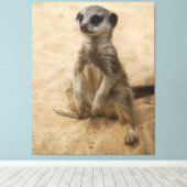 Toile Bébé Meerkat Assis Dans Le Sable (Insitu (Plancher de Bois))