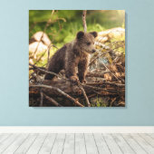 Toile Bébé mignon Ours en Bois (Insitu (Plancher de Bois))