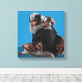 Toile Bébé Nifflers Trouve Un Prix (Insitu (Plancher de Bois))