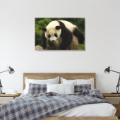 Toile Bébé panda géant (Ailuropoda melanoleuca) (Insitu(Chambre))