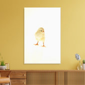 Toile Bébé poulet (Insitu(Salon))