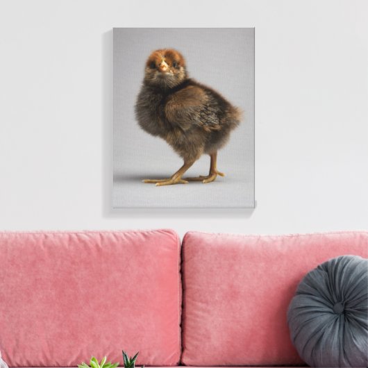 Toile Bébé poulet (Insitu(Salon))