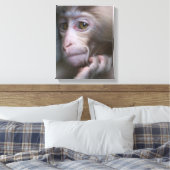 Toile Bébé singe (Insitu(Chambre))