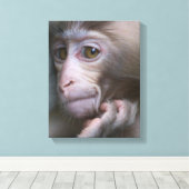Toile Bébé singe (Insitu (Plancher de Bois))