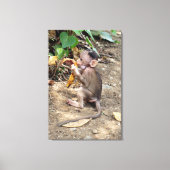 Toile Bébé singe (Recto)