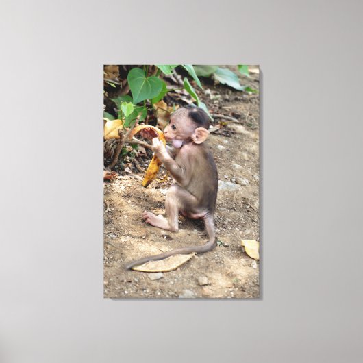 Toile Bébé singe (Recto)