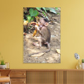 Toile Bébé singe (Insitu(Salon))