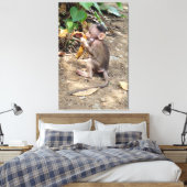 Toile Bébé singe (Insitu(Chambre))