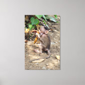 Toile Bébé singe (Recto)