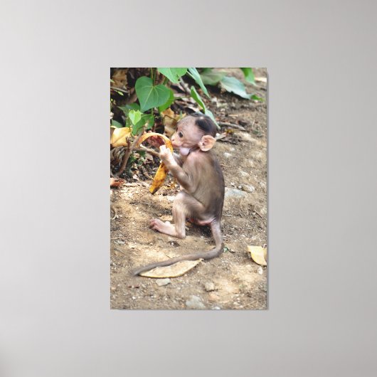 Toile Bébé singe (Recto)