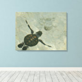 Toile Bébé Tortue De Mer Se Baignant Dans La Mer (Insitu (Plancher de Bois))