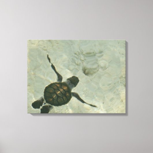 Toile Bébé Tortue De Mer Se Baignant Dans La Mer (Recto)