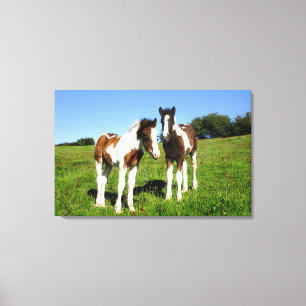 Toile Bébés Chevaux Deux Poulains Volailles Mignonnes