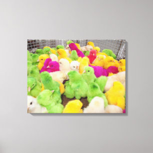 Toile Bébés Dans Un Stylo À Un Marché Coloré Par Teintur