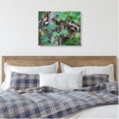 Toile Bébés ratons laveurs mignons (Insitu(Chambre))