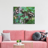 Toile Bébés ratons laveurs mignons (Insitu(Salon))