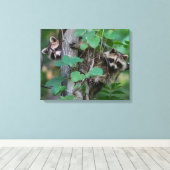 Toile Bébés ratons laveurs mignons (Insitu (Plancher de Bois))