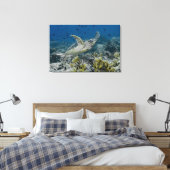 Toile Bécasseau à Hawksbill La natation de la tortue mar (Insitu(Chambre))