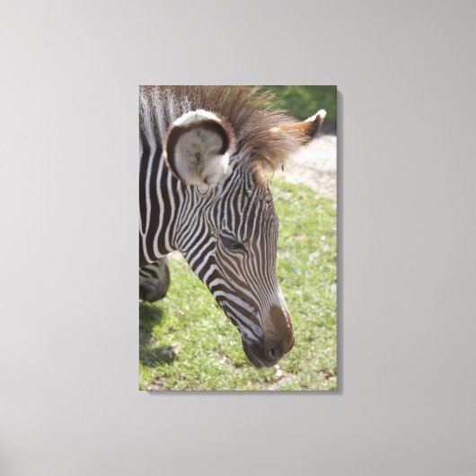 Toile Bedfordshire, Angleterre (Recto)